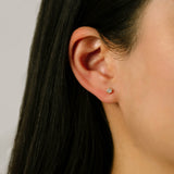 Solitaire Studs 6 Claws | 4mm | Gold