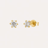 Solitaire Studs 6 Claws | 4mm | Gold
