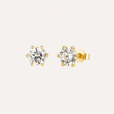 Solitaire Studs 6 Claws | 7mm | Gold